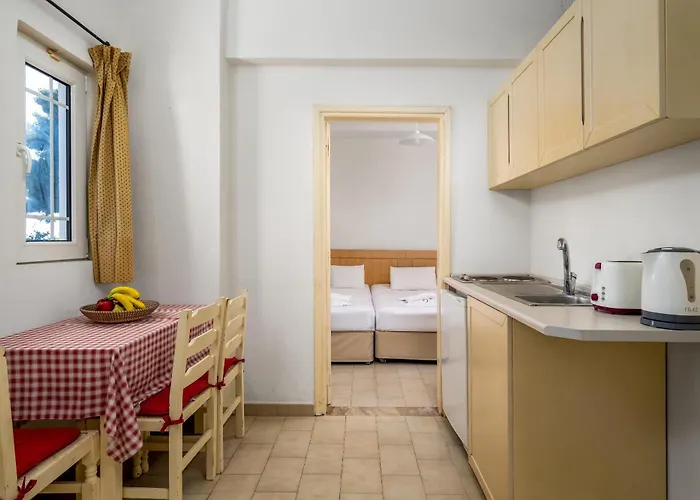 Hotel Evi & Pefkos *